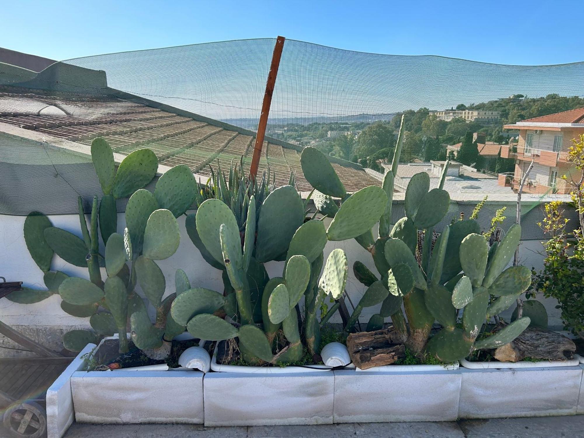 Residenza Parco Gioeni Appartement Catane
